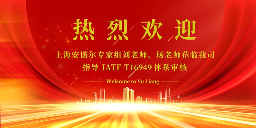 IATF 16969体系审核.jpg